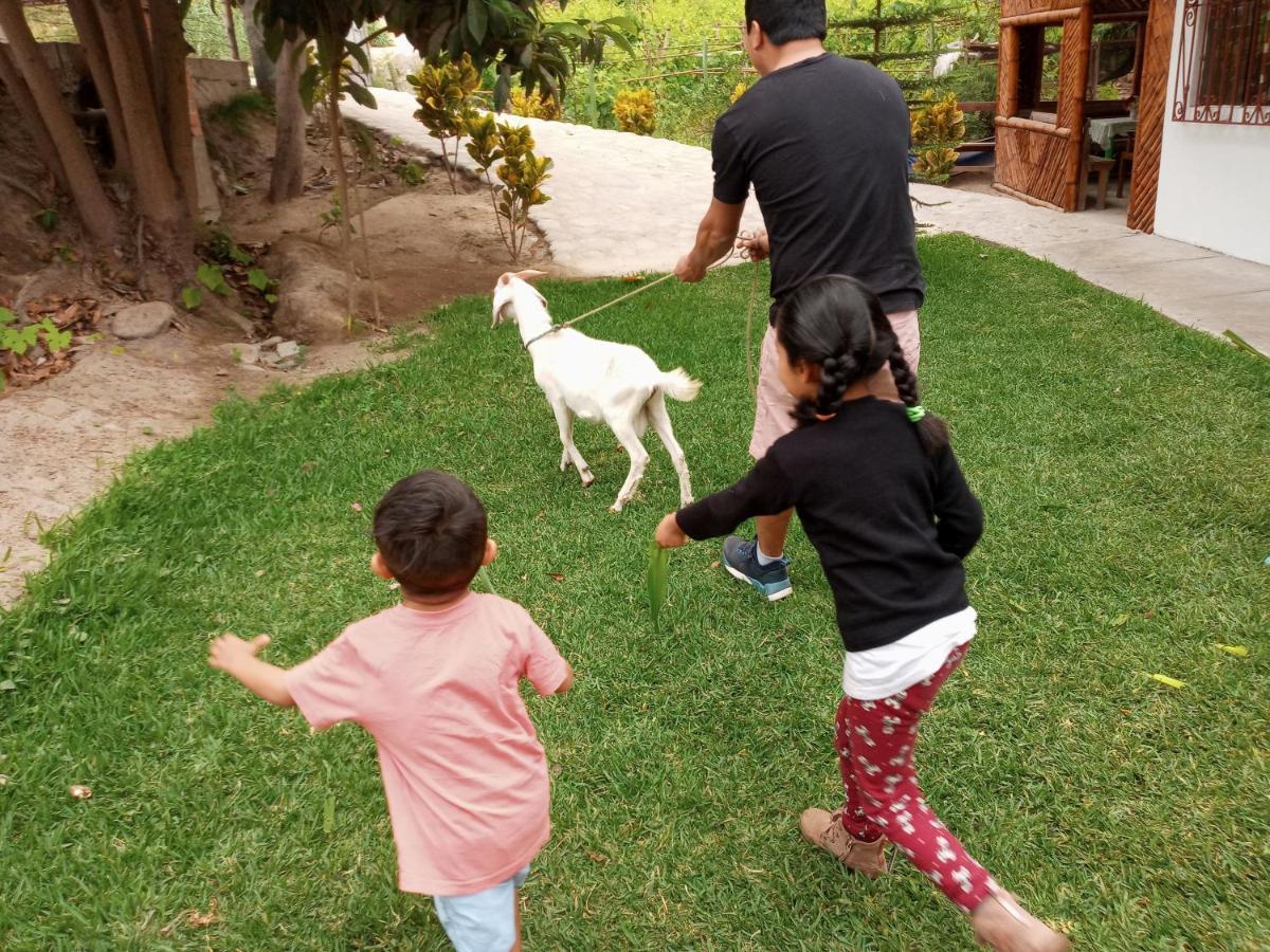 Hotel Quilla Wasi Lunahuaná エクステリア 写真